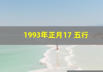 1993年正月17 五行